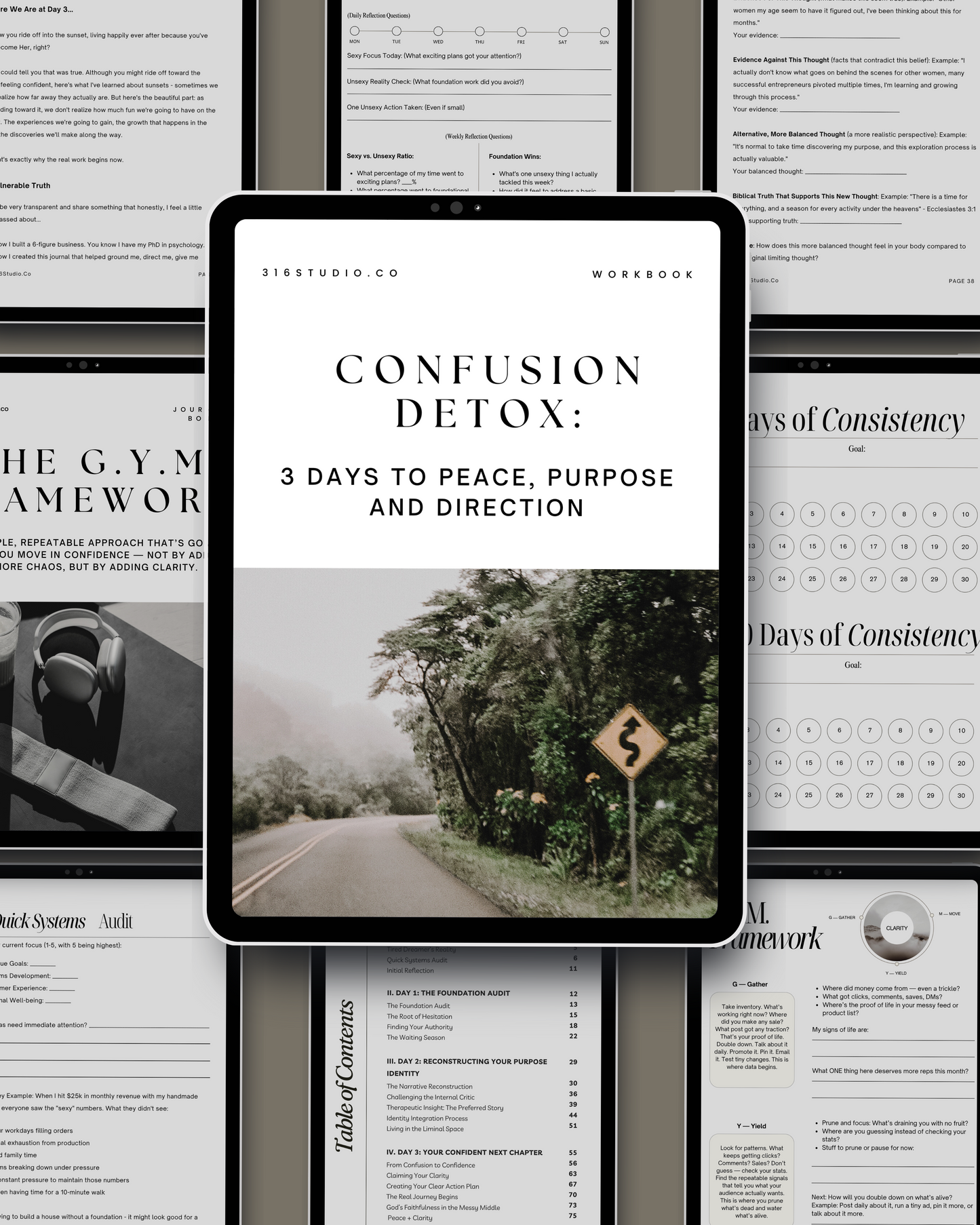 Confusion Detox: 3 Days to Peace, Purpose and Direction
